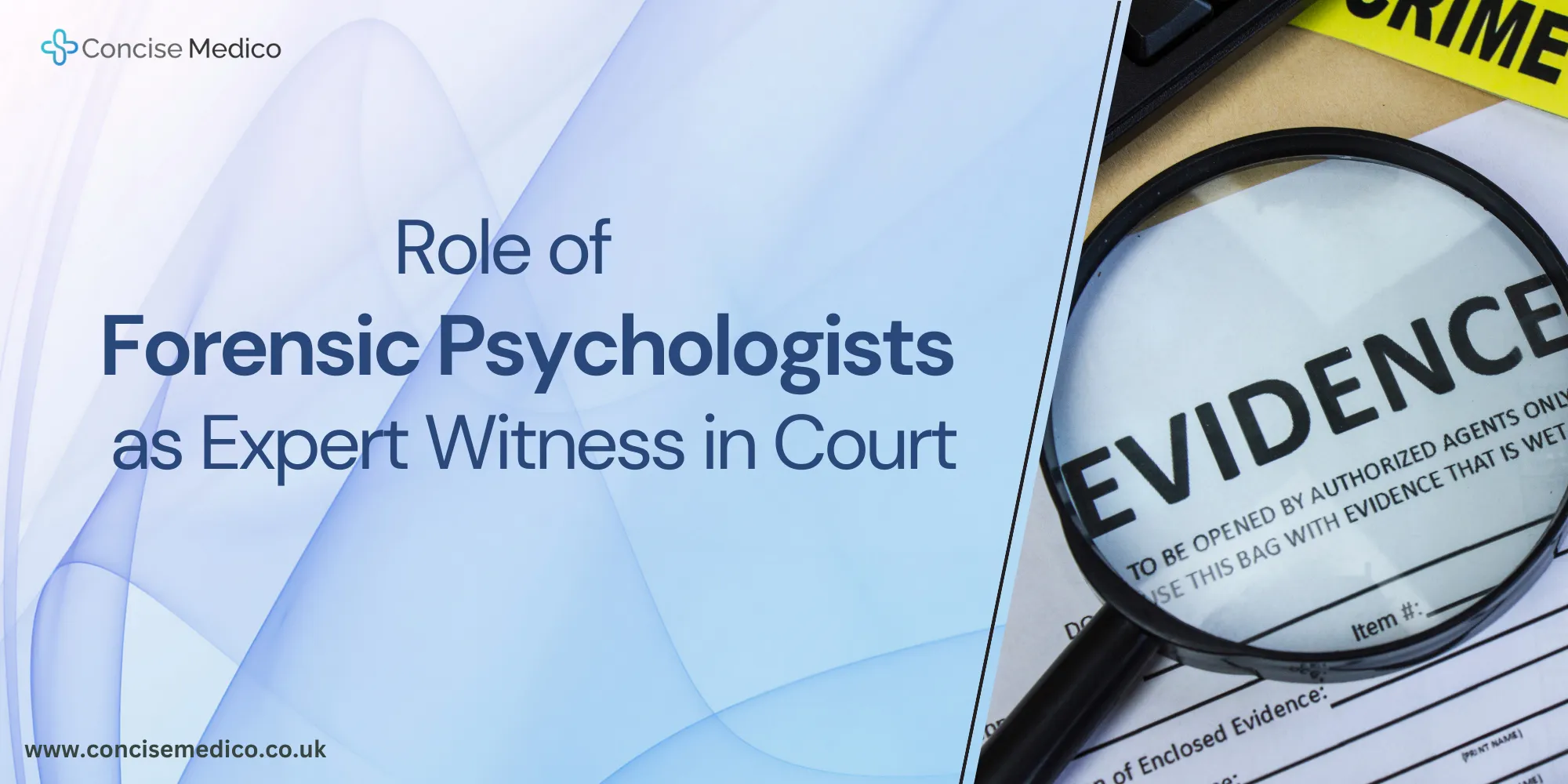Role of Forensic Psychologists as Expert Witness in Court