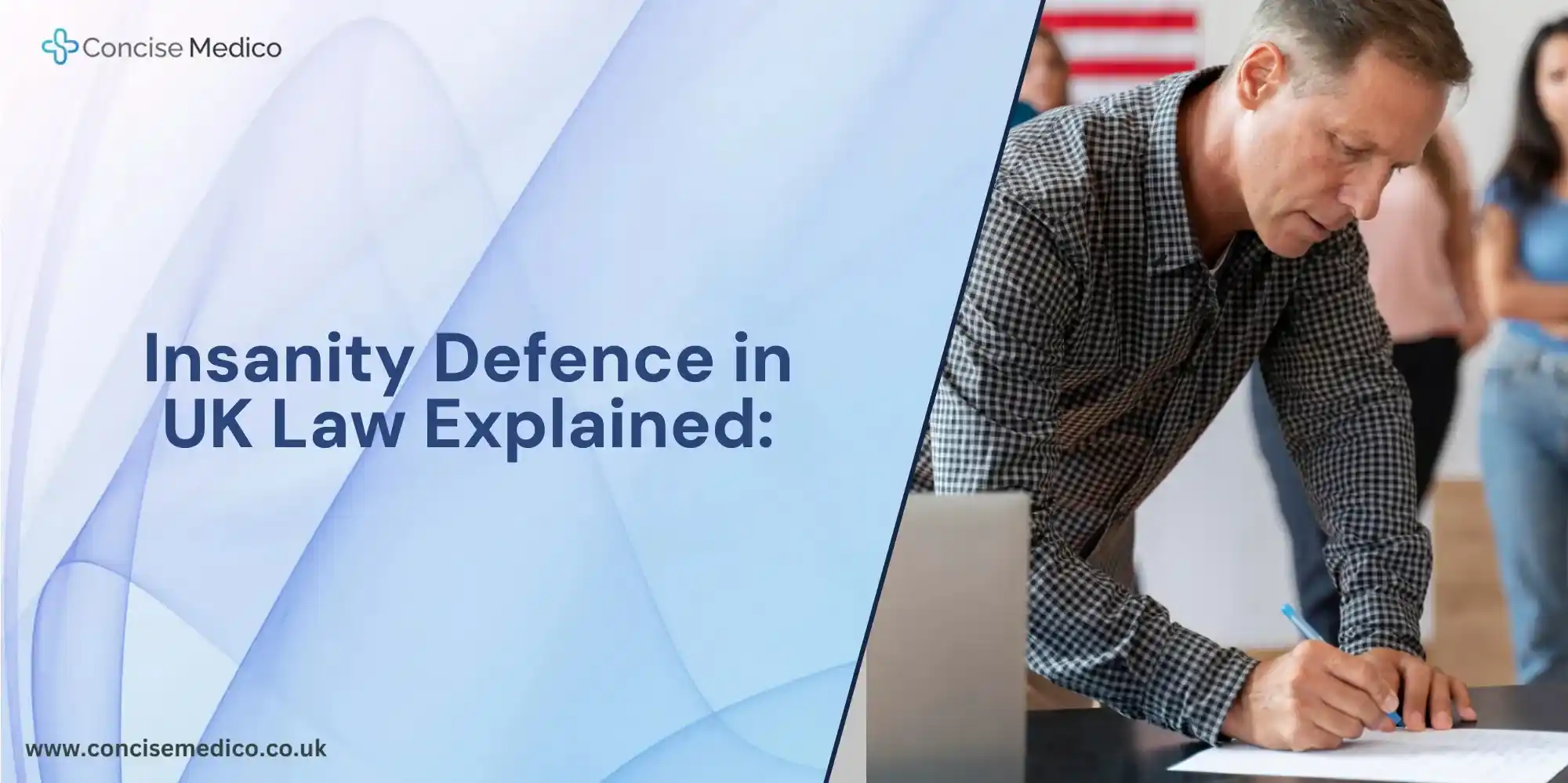 insanity defence