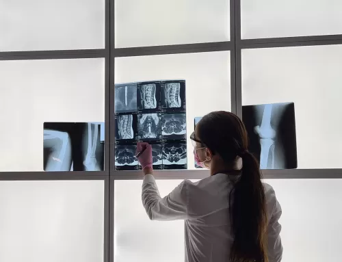 What are X-Ray Scans?