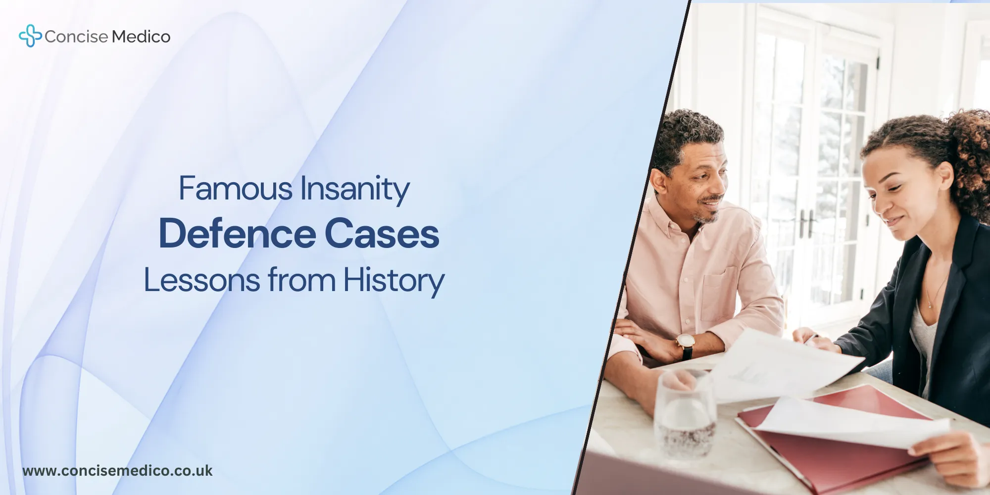 Insanity Defence Cases