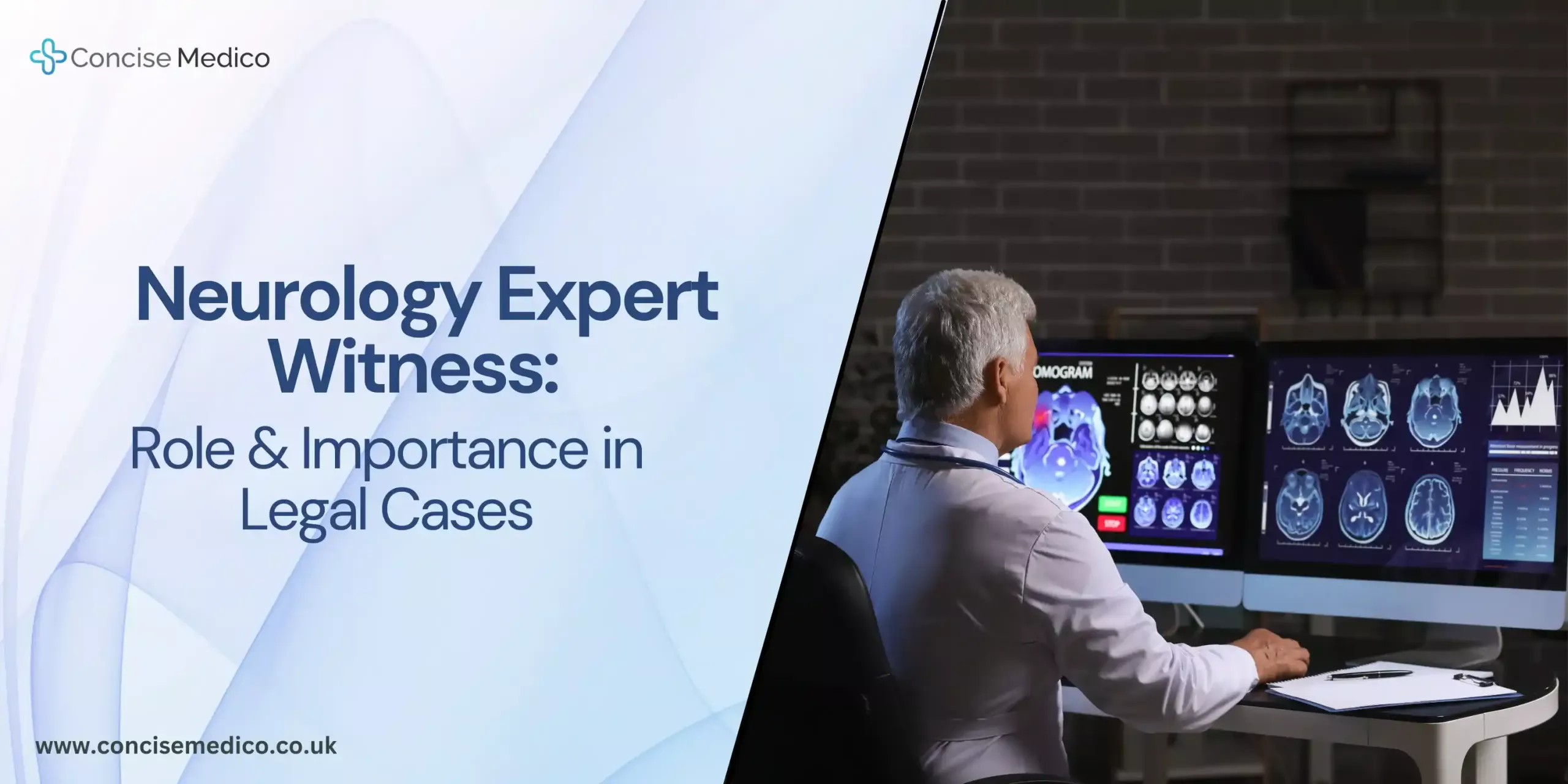 neurology expert witness