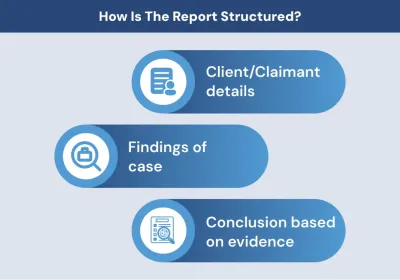 How Is The Report Structured