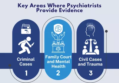Key Areas Covered by Psychiatric Reports