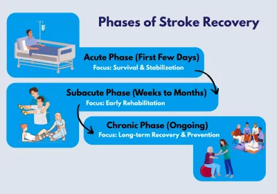 phases of stroke recovery