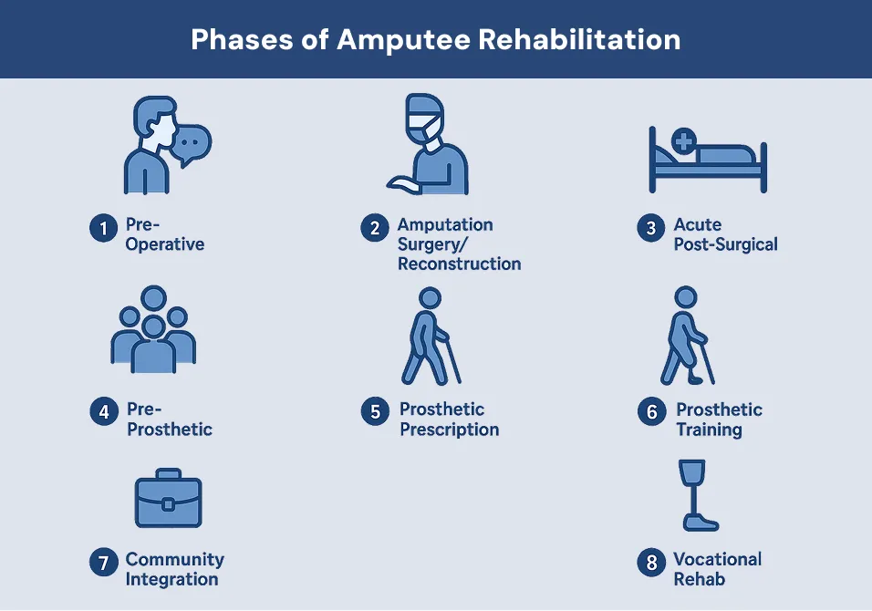 Phases of Amputee Rehabilitation