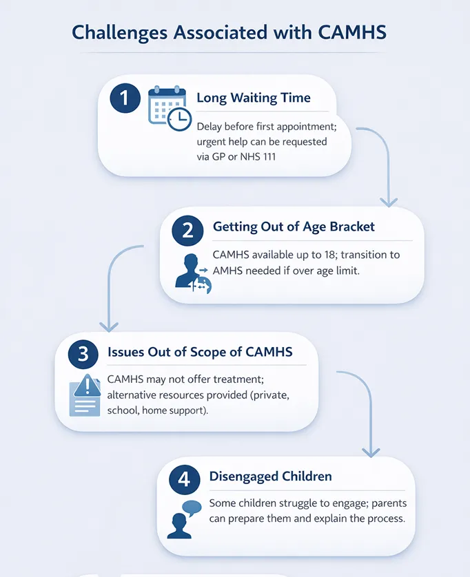 Challenges associated with CAMHS Challenges associated with CAMHS