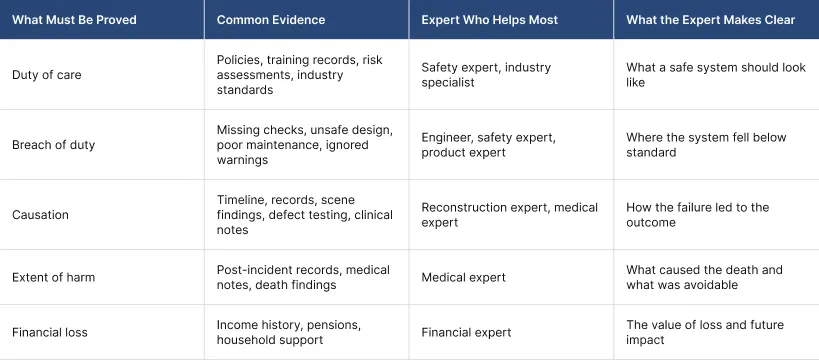 Evidence Map What The Court Needs And Which Expert Explains It