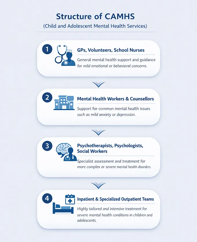 Structure of CAMHS Structure of CAMHS