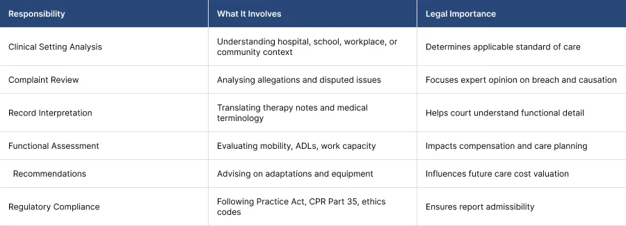 Key Responsibilities of an Occupational Therapist Expert Witness Key Responsibilities of an Occupational Therapist Expert Witness