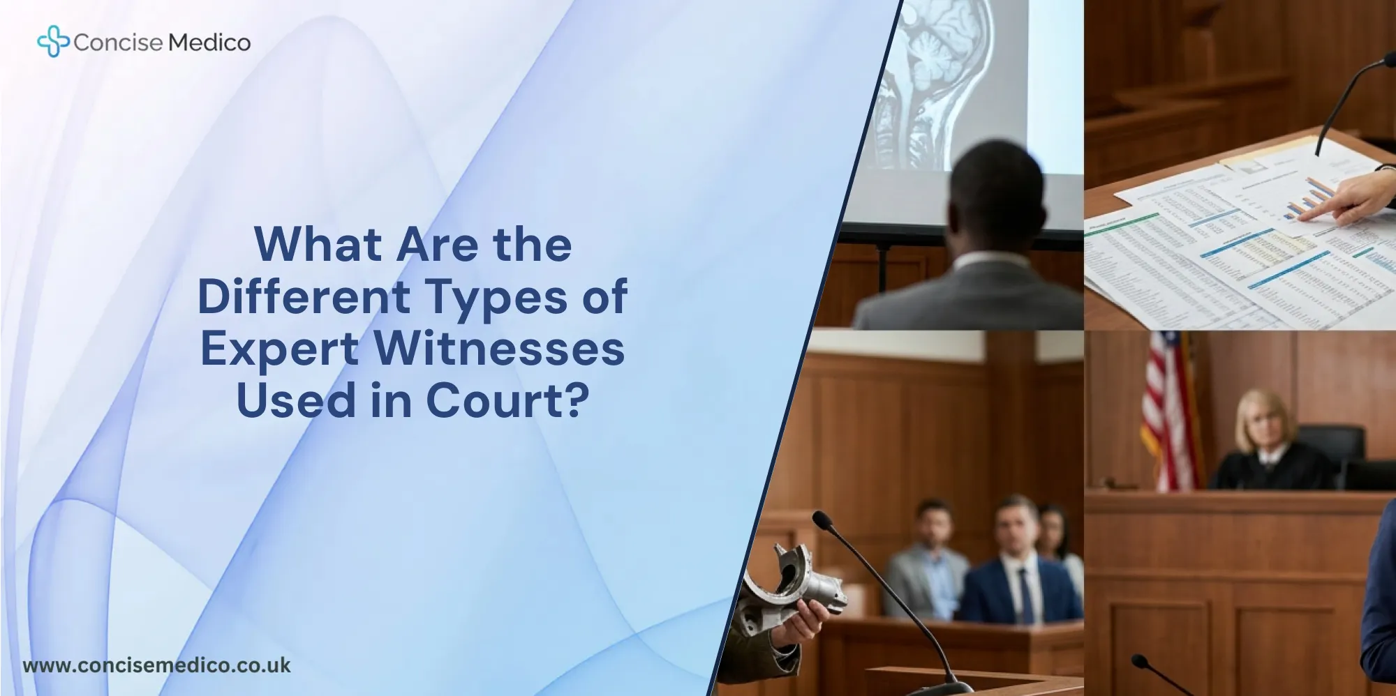 types of expert witnesses