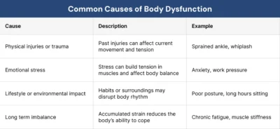 Common Causes of Body Dysfunction