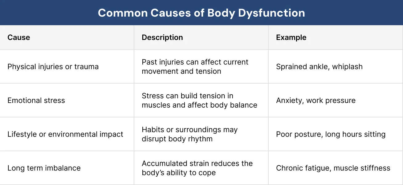 Common Causes of Body Dysfunction